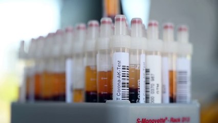 La pandemia se acerca a los 24,5 millones de casos