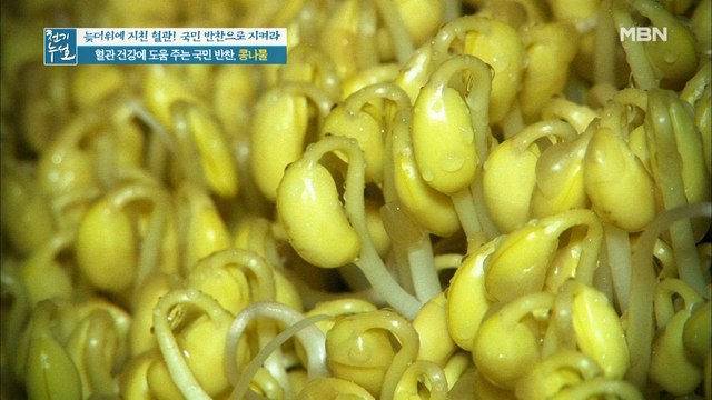 혈관 건강 지킴이! 국민 반찬, [콩나물]