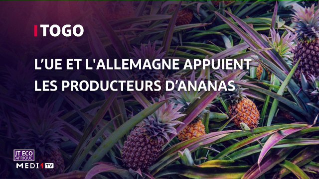 JT Eco Afrique - 28/08/2020