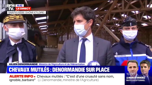Chevaux mutilés: pour Julien Denormandie c'est d'une cruauté sans nom, ignoble, barbare