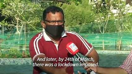 Virus-hit Indian resort turns pool into fish farm