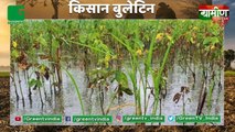 Agro Industry शुरू करने पर Subsidy देगी सरकार : सुस्त पड़ी Economy में रफ्तार भर सकते हैं Kisan | Kisan Bulletin | Grameen News