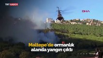 Maltepe'de ormanlık alanda yangın çıktı