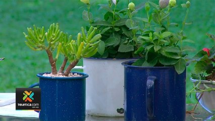 bd-convierta-sus-trastes-viejos-en-macetas-280820