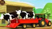 Farm Animal Houses Construction for Kids  Mini Excavator & Construction Trucks for Children