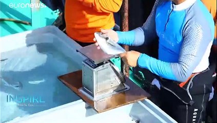 Could inland fish farms ease the UAE’s depleted fish stocks?