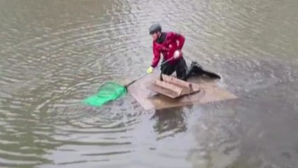 부산 괴정천에서 날개 다친 왜가리 구조 / YTN