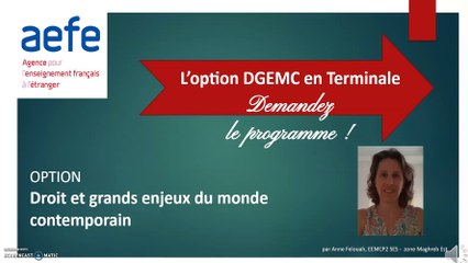 Anne Felouah_TERM -DGEMC - vidéo présentation option_8586
