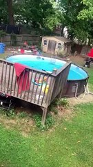 Tuckered Bear Goes for a Backyard Swim