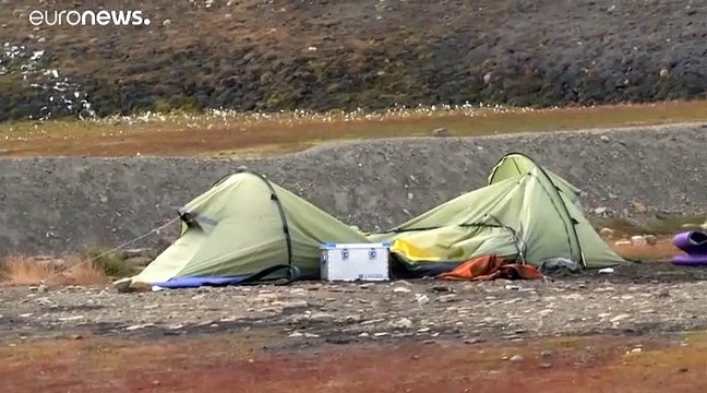 Norvège : un ours polaire attaque un camping et tue un homme