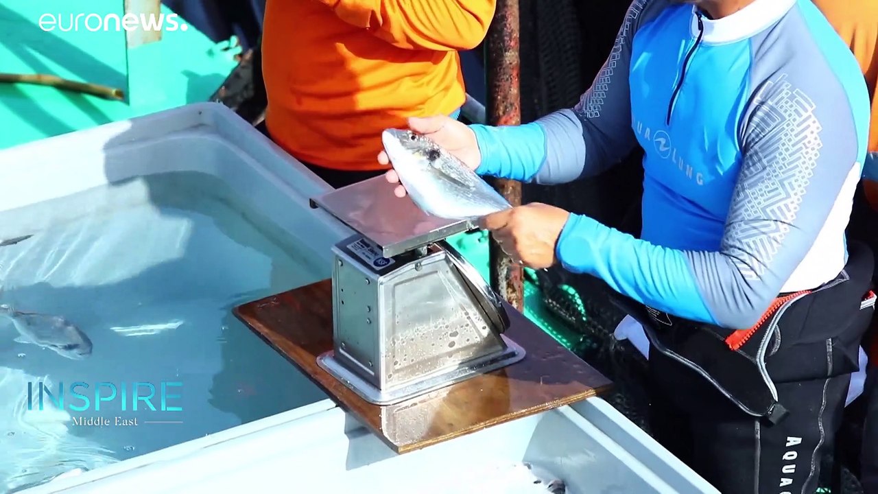 Could inland fish farms ease the UAE’s depleted fish stocks?