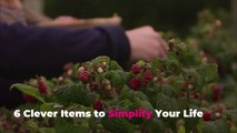 6 Clever Items to Simplify Your Life