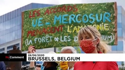 Rassemblement à Bruxelles pour protester contre la destruction de la forêt amazonienne