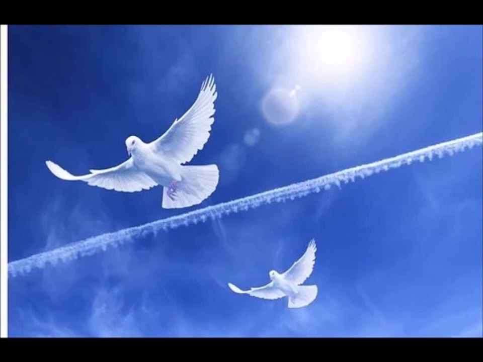 道標（あしあと）　～おぐりんへのおうえんか～