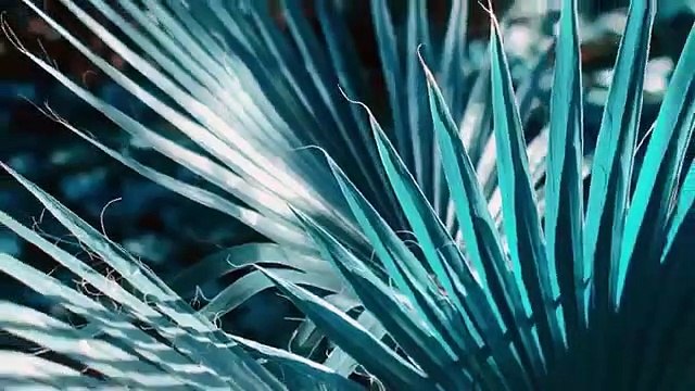 INNA - No Help _ Official Music Video - YouTube (360p)