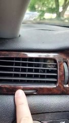 Regardez ce qu'elle a trouvé dans la ventilation de sa voiture... adorable