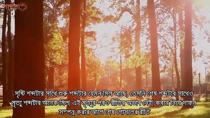 কেন মৃত্যুর পর বরই পাতা দিয়ে শেষ গোসল করানো হয়   ?  বরই পাতার উপকারিতা !  #  SAzadworldpr #