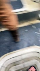 Just Another Day in Alaska with Some Orcas