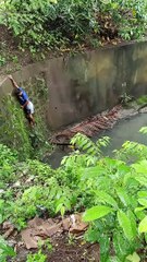 Two Young Heroes Save an Injured Mama Dog Stuck in a River