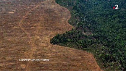 Amazonie déforestée, révoltes au Liban, faux bébés en Espagne... Ce qu'il faut retenir de l'actualité de la semaine en photos