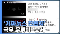 '가짜뉴스 진원지' 극우 유튜버...