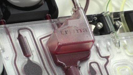 계속되는 혈장치료 효능 논란...이유와 성공 조건은? / YTN