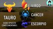 SIGNOS DEL ZODIACO COMPATIBLES EN EL AMOR