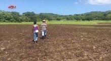 mqn-Familias guanacastecas iniciaron huerta comunitaria 280820