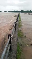 MP: होशंगाबाद जिले में बाढ़ से हालात बिगड़े, सेना को बुलाया गया