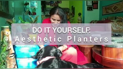 diy Aesthetic plant holders