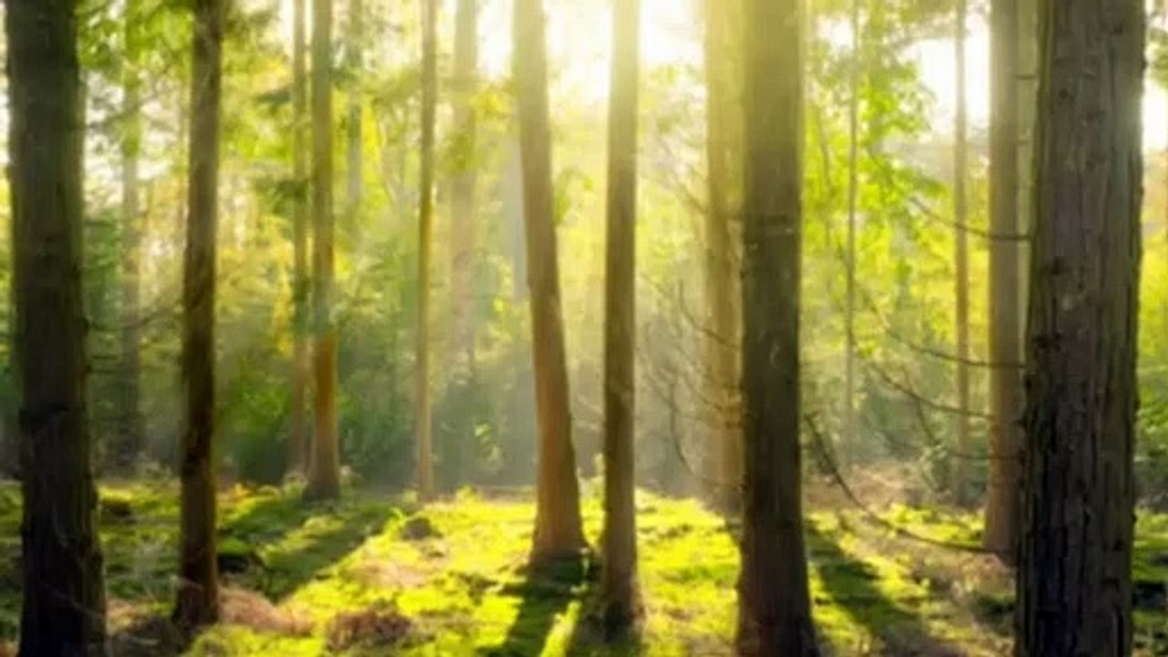 Meditation  Music .Beautiful.Relaxing Music for Stress Relief . Relaxing._