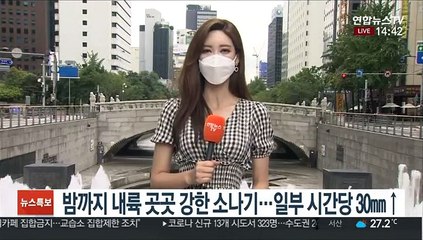 [날씨] 주말 낮더위 지속…내륙 요란한 소나기