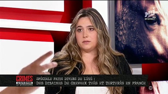 Enquête sur les chevaux martyrisés et tués à travers la France depuis plusieurs mois