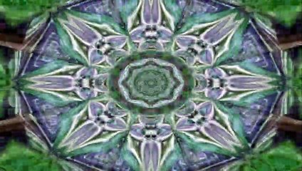 Effect Kaleidoscope, Free Background, No Copyright, Graphic Motion