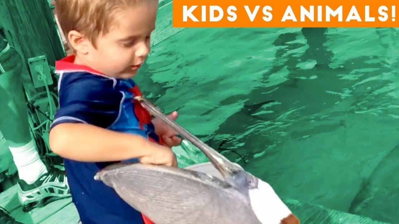 The Funniest Pets Vs Kids & Babies Fail Compilation _ Funny Pet Videos