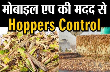 मोबाइल एप की मदद से हॉपर्स नियंत्रण