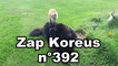Zap Koreus n°392