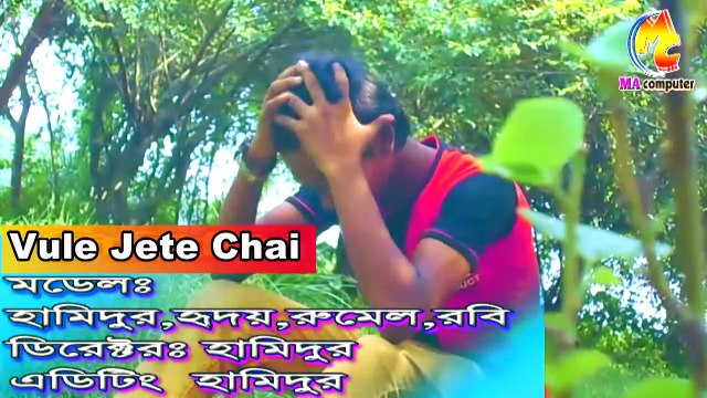 Bangla New Sad Song - Vule Jete Chai - Heart Touching & Emotional Music - HM Hamidur
