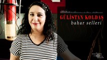 Gülistan Koldaş - Divane Gönlüm Benim (Official Audio)