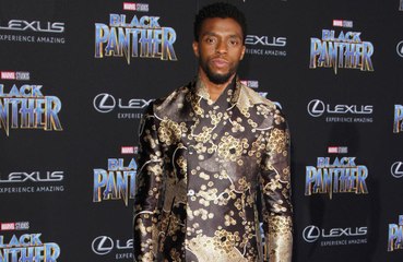 Chadwick Boseman, de 'Pantera Negra', morre aos 43 anos