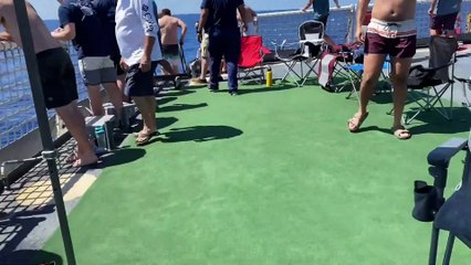 Large Shark • Threatens Swimmers During Swim Call  • Oceania Aug 21 2020