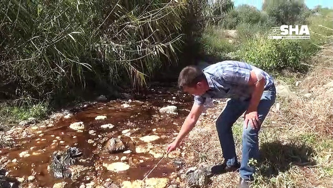 Dereye akan zehirli madde hayvanları zehirledi