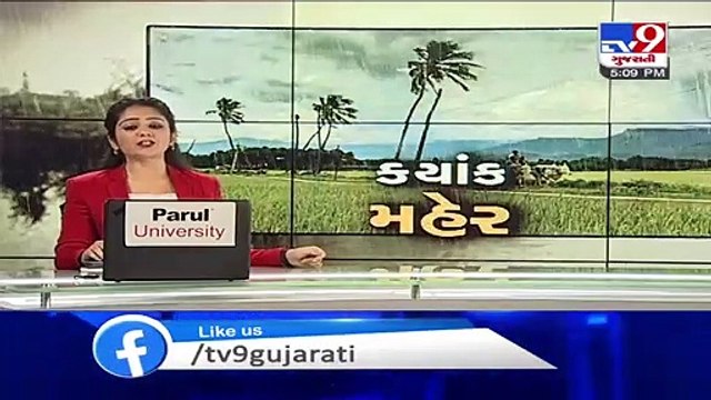 Dhari receiving heavy rain showers, crops damaged - Amreli