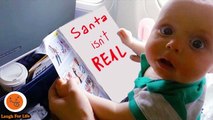 Babies Try To Read Book And Talk Harrowing Funny Babies And Pets