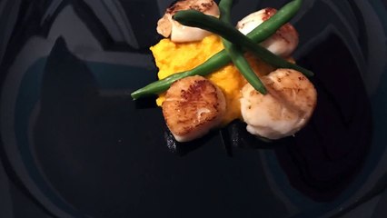 Como Fazer Vieiras Scallops com pure de Cenoura PASSO A PASSO #102