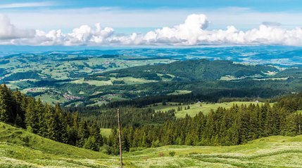 Nature Beauty of Switzerland _ Free HD Videos - no copyright