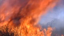 9.000 hectáreas carbonizadas en Huelva en el peor incendio del verano en España
