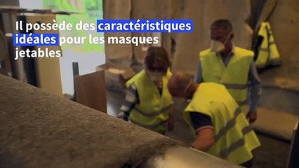 Covid-19: un masque en chanvre et biocompostable