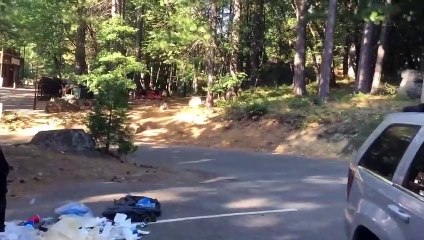 Ce qu'il trouve dans la poubelle est surprenant