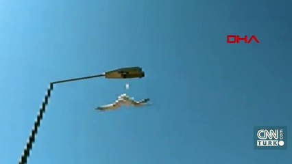 Ayağına maske takılan martı, direkte asılı kaldı | Video